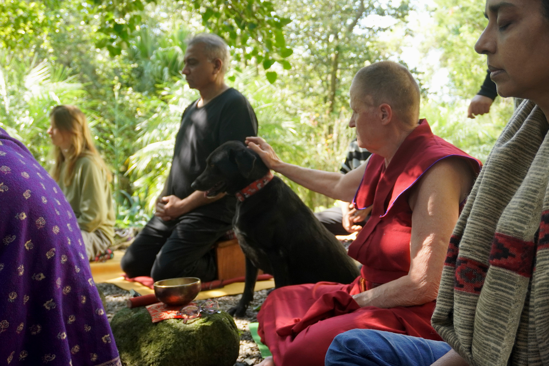Thosamling Nunnery Dharamshala