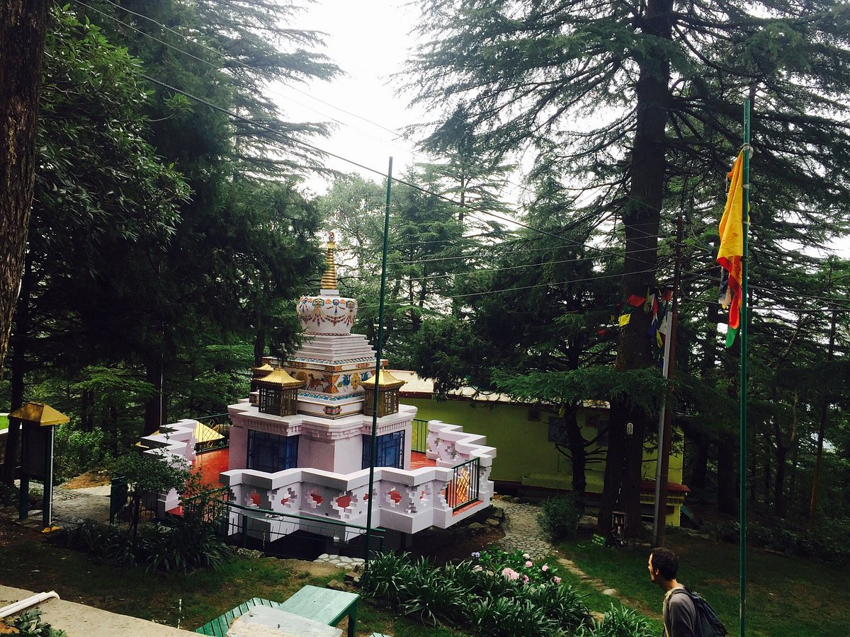 Tushita Meditation Centre McLeod Ganj